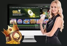hokiarena live casino roulette blackjack pilihan meja terlengkap